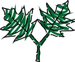 Illustrative Drawing of a Dual-Branch Leafy Plant - Botanical Sketch