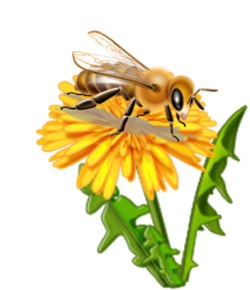 Free Pollinator Cliparts, Download Free Pollinator Cliparts png images ...