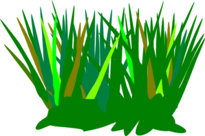 Vibrant stylized grass illustration with green, yellow, and orange blades against a white background.