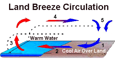 The development of a thermal circulation