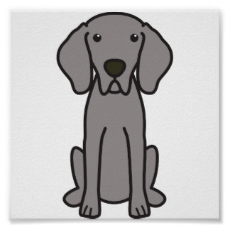 Gray Weimaraner dog sitting upright with floppy ears and expressive eyes, cartoon-style illustration.