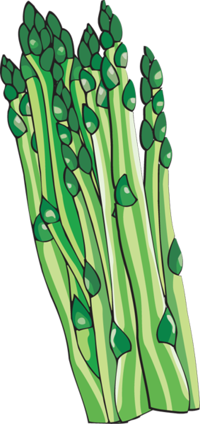 asparagus clipart black and white