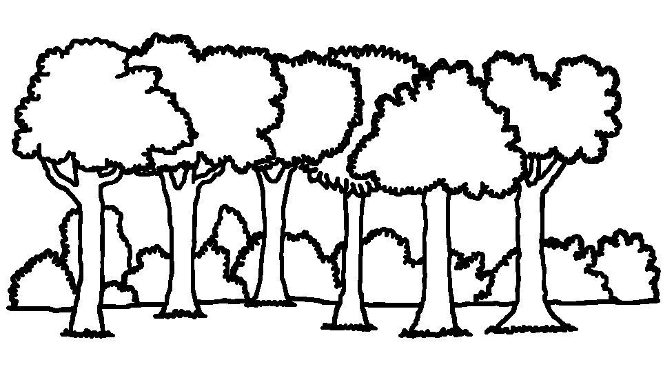 Black-and-white line drawing of a row of stylized trees with leafy canopies and shrubs beneath.