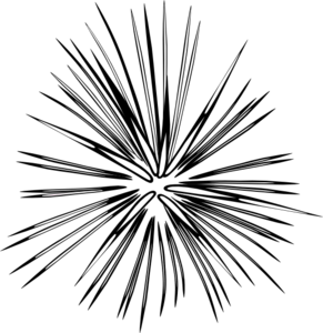 Starburst Fireworks Abstract Image - High-Contrast Monochrome Visual