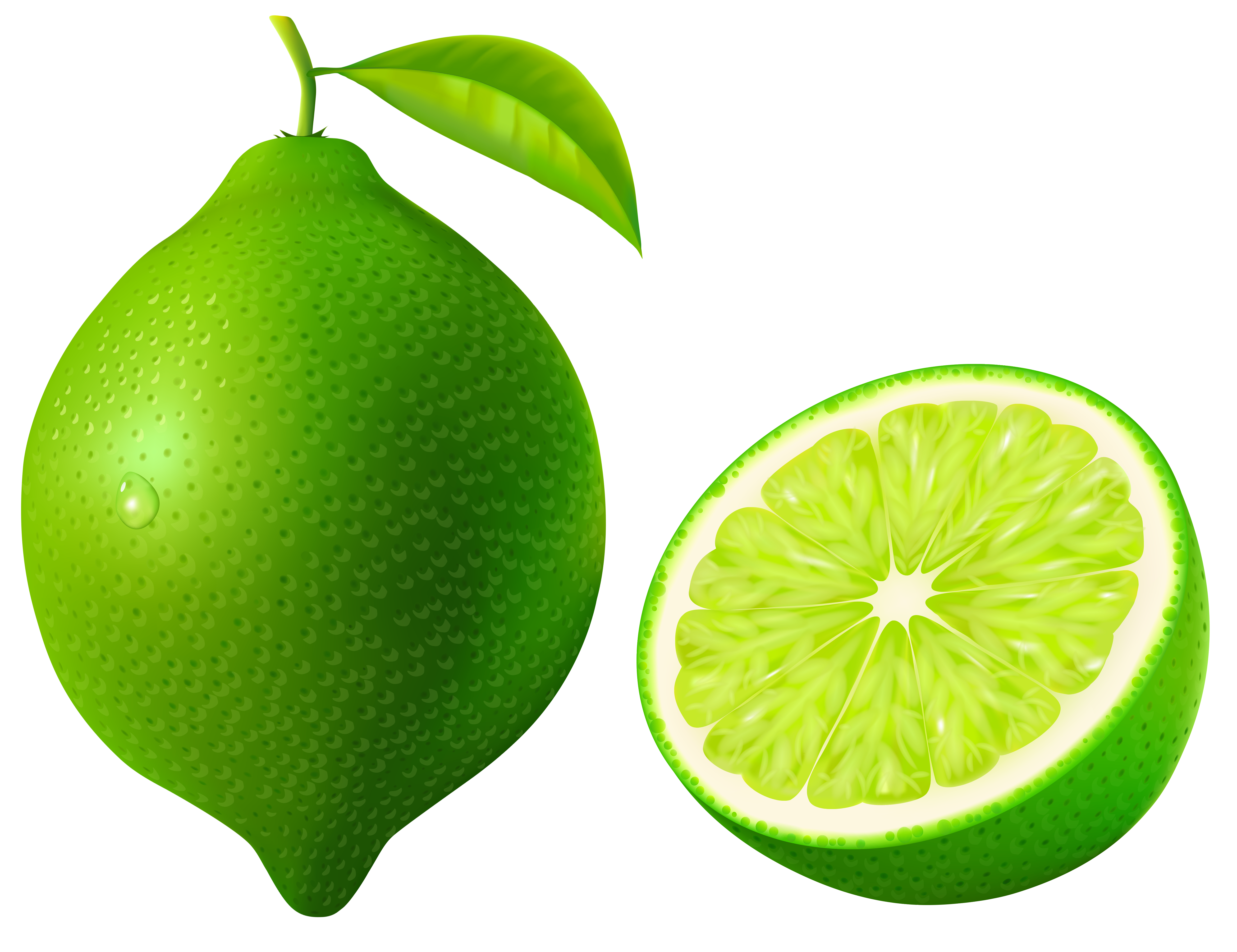 Green Lime PNG Vector Clipart Image 