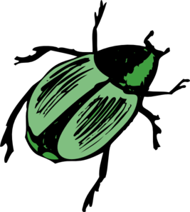 Green Beetle Illustration - Vector Art for Nature & Insect Themes