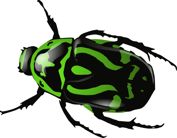 Free Beetles Cliparts, Download Free Beetles Cliparts png images, Free