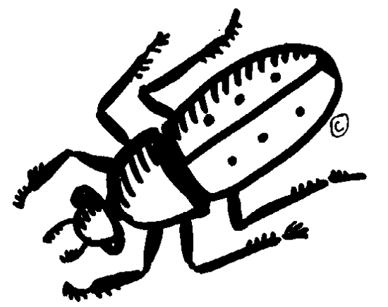 Black Beetle Clipart 