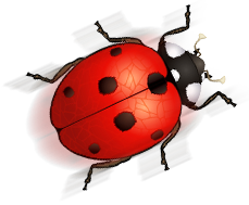 Beetle Clipart 