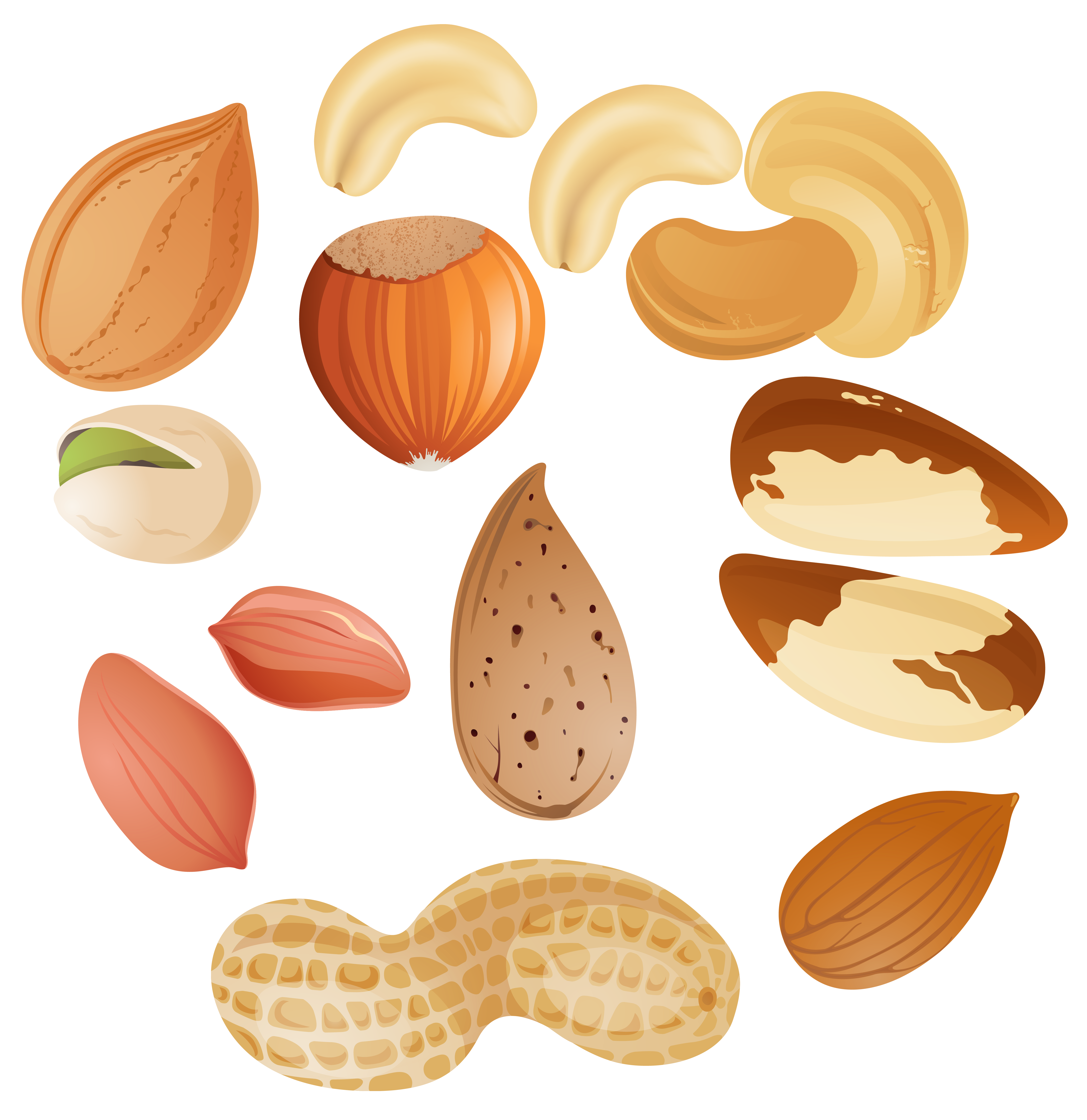 Nuts PNG Clipar Image 