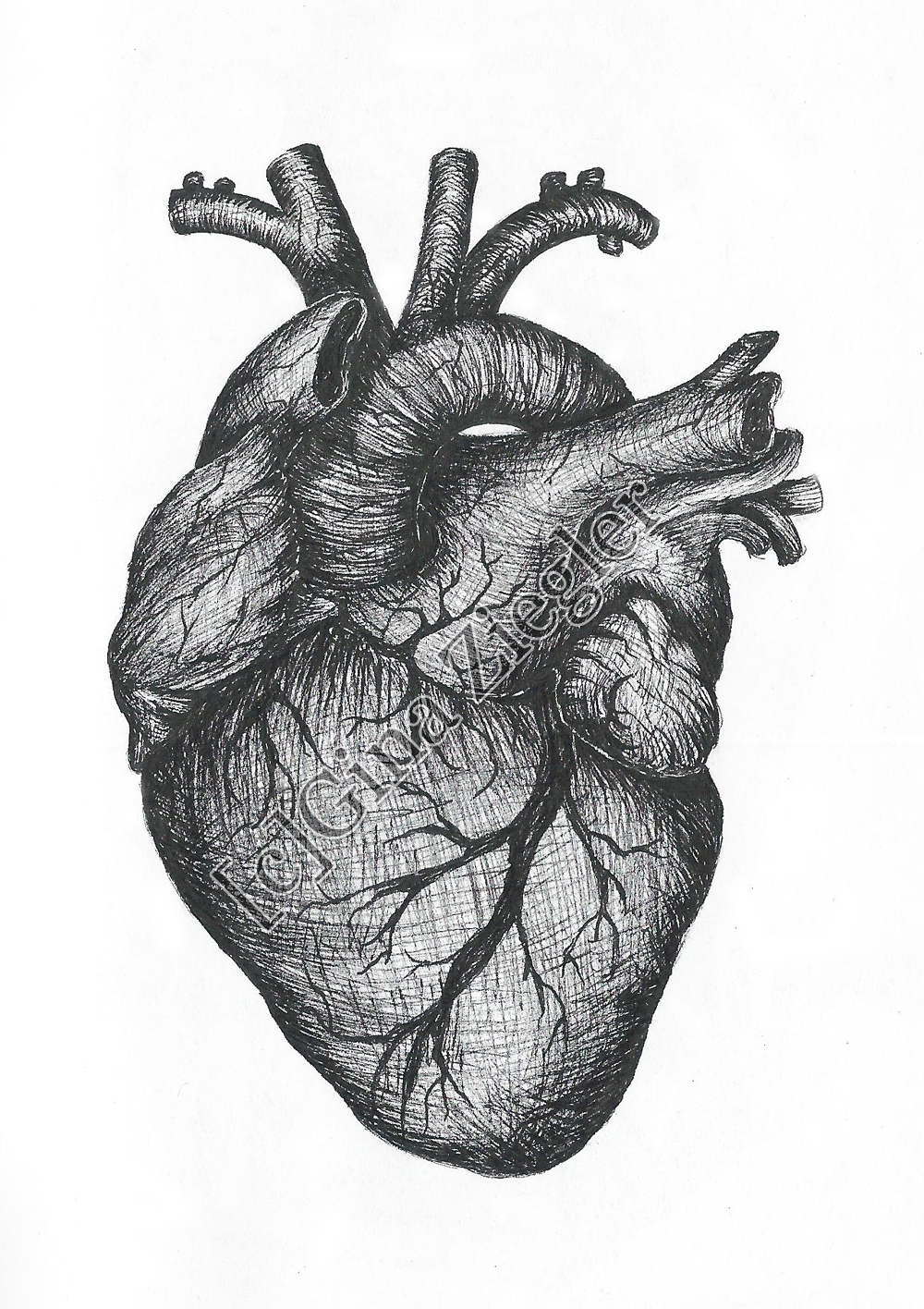 Simple Real Heart Drawing, HD Png Download - vhv
