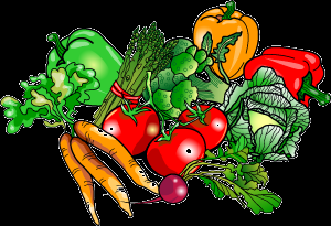 A vibrant pile of fresh vegetables including carrots, tomatoes, bell peppers, asparagus, cabbage, and radishes.