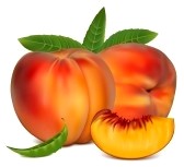 Vector Clipart Fruit Free Peach 