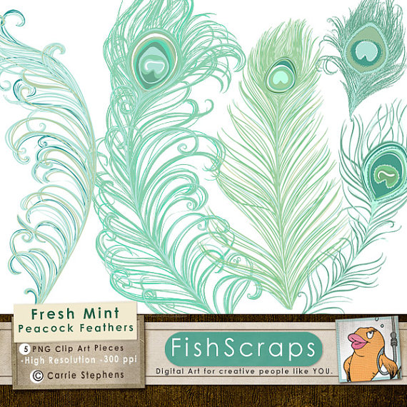 Fresh mint green peacock feather clip art set with elegant swirls and eye patterns, high-resolution digital illustration.