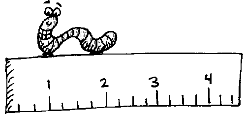 cute inchworm clipart