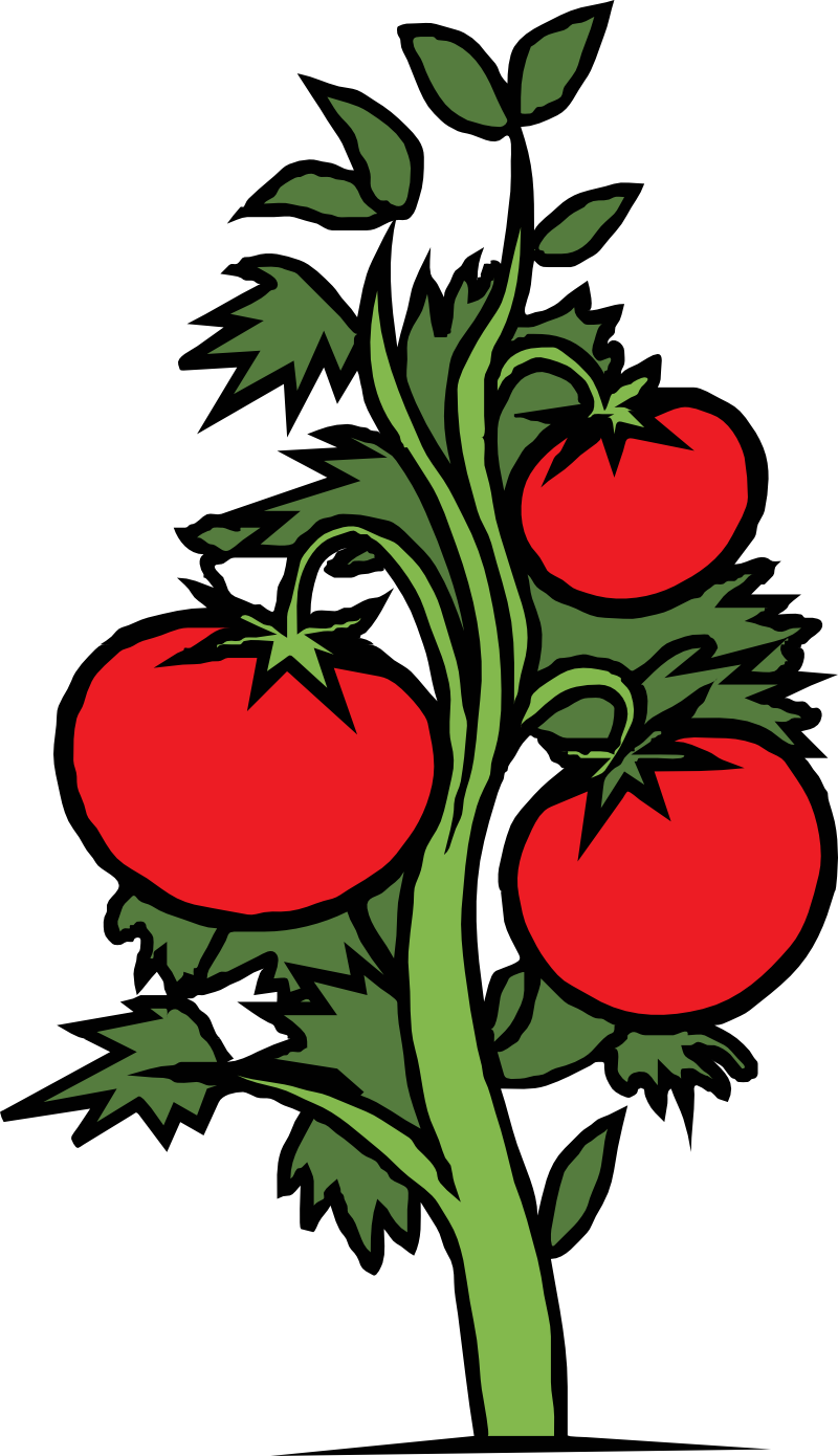 Plants Clipart