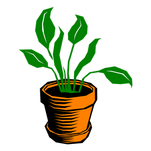 Green leafy plant in an orange terracotta pot with saucer, stylized illustration.