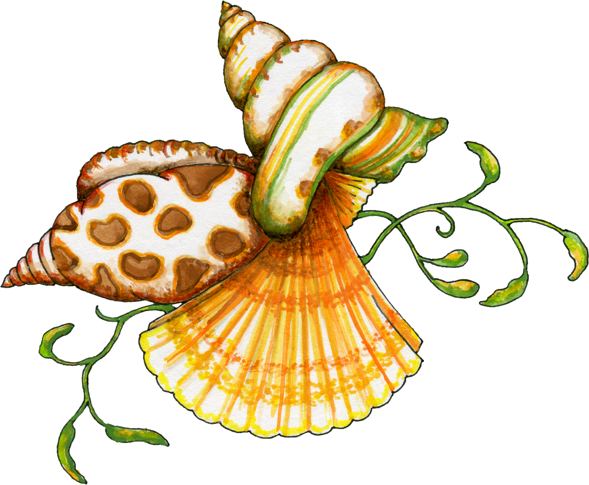 Free Clip Art Sea Shells 