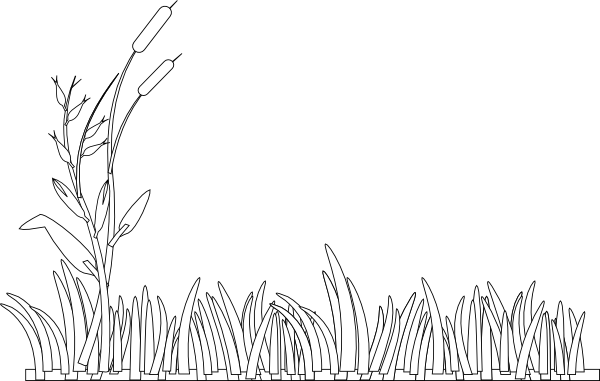 Grass Silhouette Cattails Clipart 