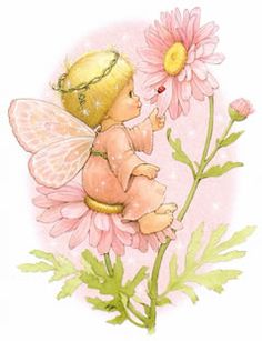 A delicate fairy with golden hair and translucent wings sits gently on a pink daisy, reaching toward its yellow center.