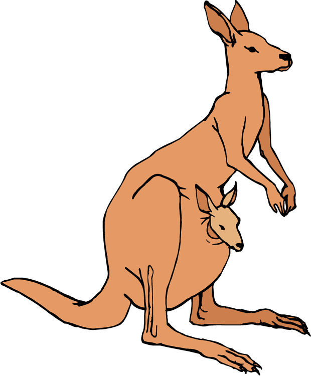 Mother kangaroo with joey peeking from her pouch, illustrated in warm brown tones.