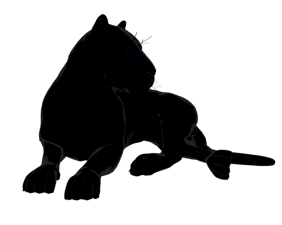 Silhouetted black panther in a crouched, alert pose against a pure black background.