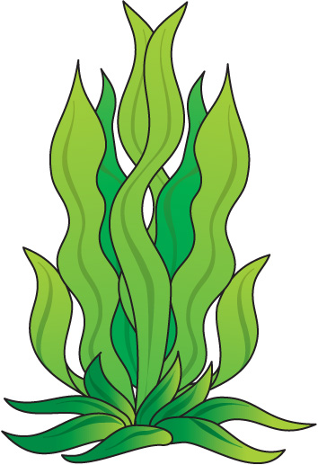 Free Algae Cliparts, Download Free Algae Cliparts png images, Free ...