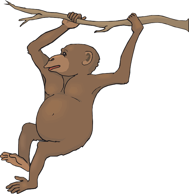 Swinging monkey clip art