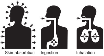 Ingestion Hazards Clipart - Clip Art Library