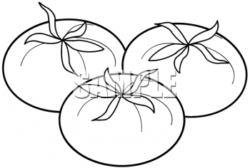 Clipart Image of a Black and White Line Drawing of Three Tomatoes 