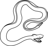 Snake Illustration - Free Vector Clipart for Educational and Design Use