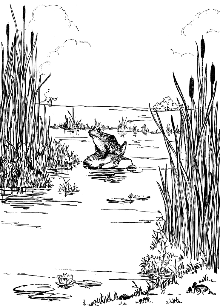 swamp clip art black and white - Clip Art Library