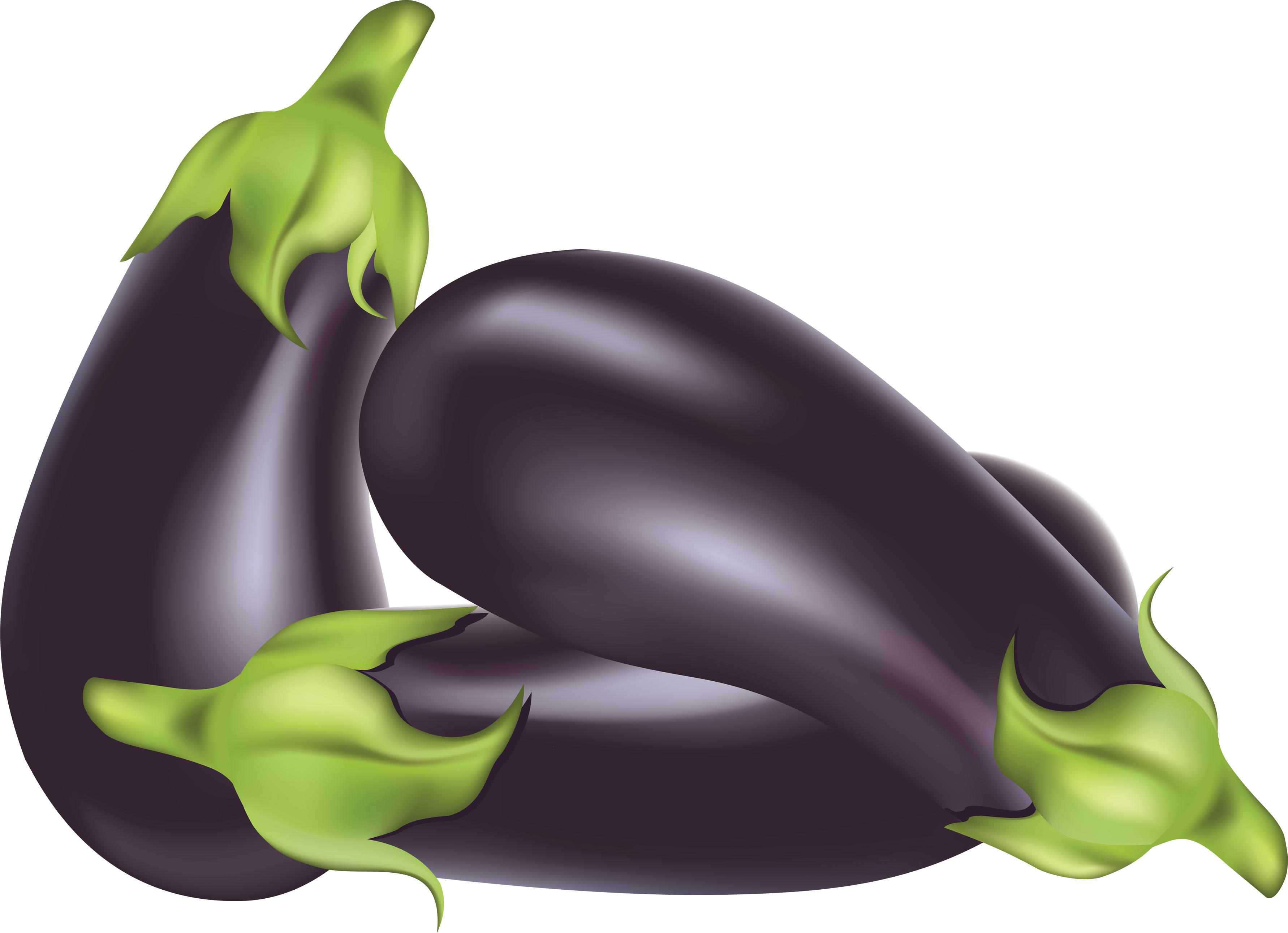 Eggplant PNG image free download 