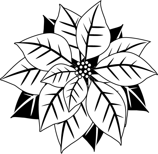 poinsettia black and white clip art