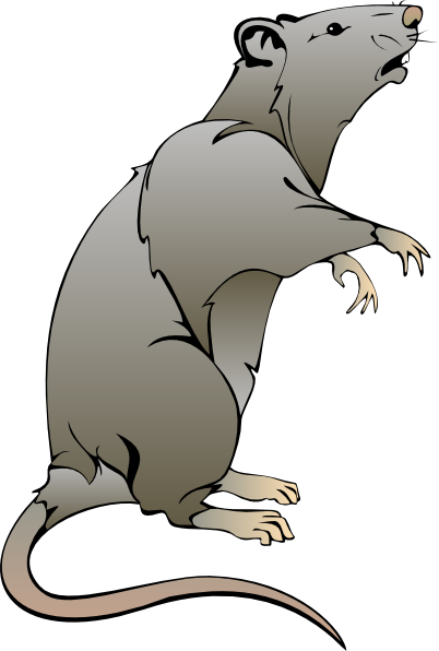 Gray Rodent Clip Art 