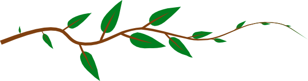 Green Vine Illustration - Natural Botanical Clipart for Design