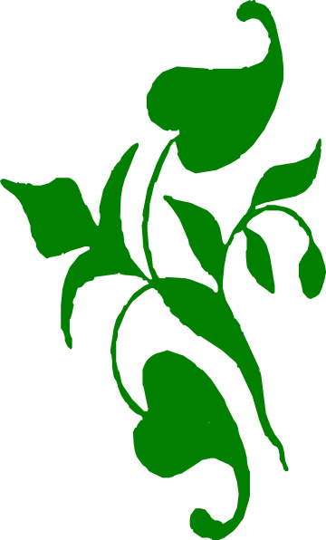 Vine clipart 2 image
