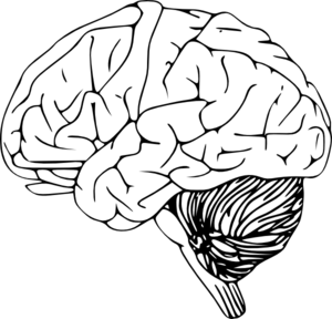 A blank black image with no visible content or details.
