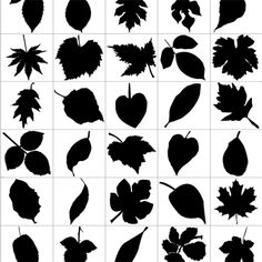 Silhouette Cutter file of 5 different realistic fall leaves. Some 