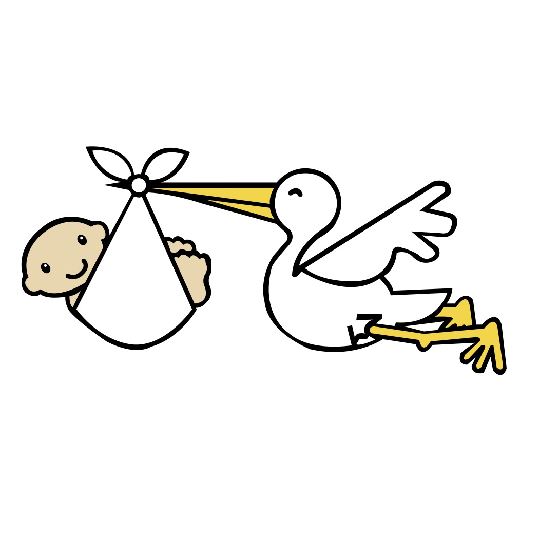 Stork Delivering Baby - Classic Newborn Arrival Illustration