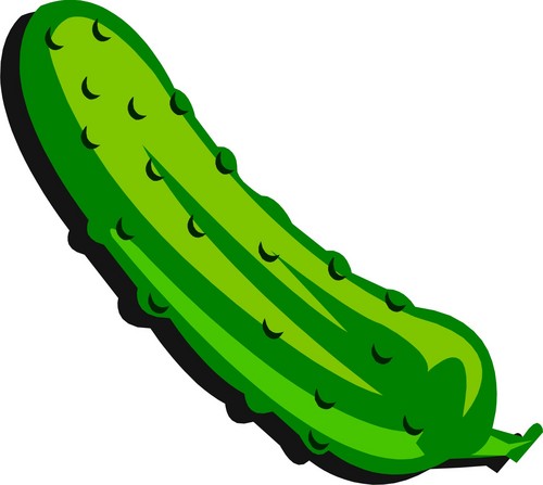 Pickle 20clipart 