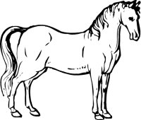 Free Horse Clipart Black And White