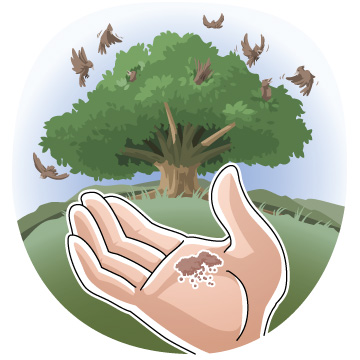 Open hand holding birdseed with birds flying toward a lush green tree in the background.