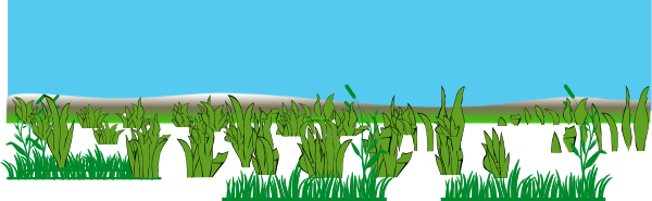 Lush green grass growing along a snowy landscape under a clear blue sky.