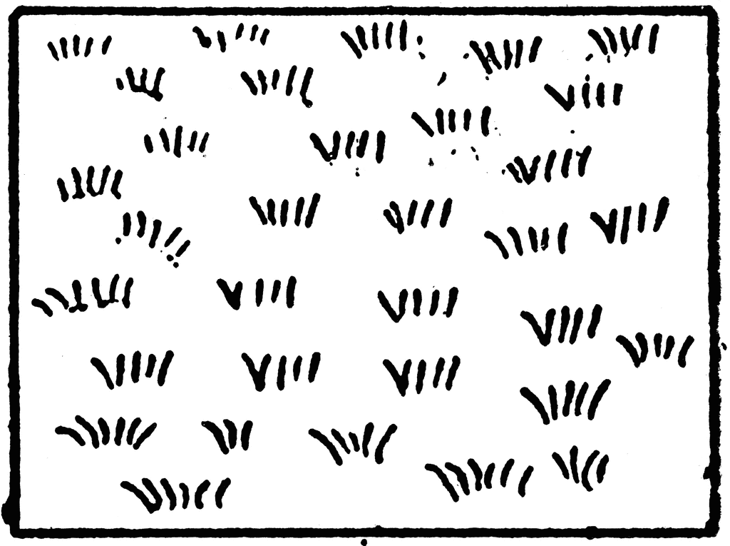 Black ink sketch of scattered Roman numerals VIII on white background, hand-drawn with irregular strokes and spacing.