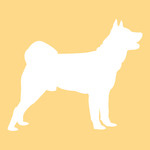 Dog Silhouette Icon - Clean Vector Illustration for Pet Brands & Web Design