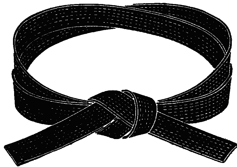 Black martial arts belt tied in a standard knot, symbolizing expertise and discipline in disciplines like karate or judo.