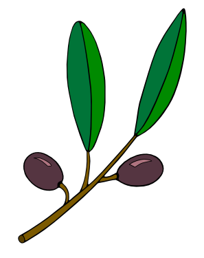 Illustration of an olive branch with two purple olives and green leaves on a black background.