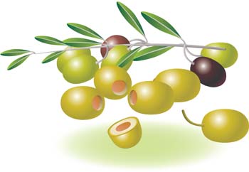 Fresh green and black olives on a branch, one sliced open to reveal the pit and flesh.