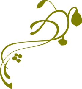 Olive-green decorative vine flourish with leaves and buds on transparent background